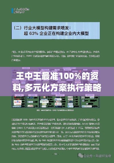 王中王最准100%的资料,多元化方案执行策略_超值版12.847