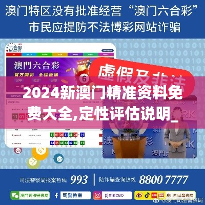 2024新澳门精准资料免费大全,定性评估说明_复刻款10.213