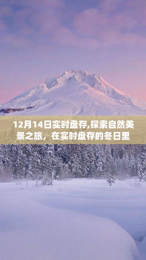 12月14日实时盘存，自然之旅中寻找内心的宁静与平和