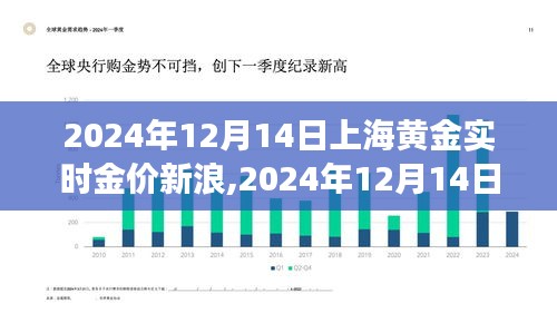 洞悉黄金市场趋势与投资机会，新浪黄金实时金价报告（上海，2024年12月14日）