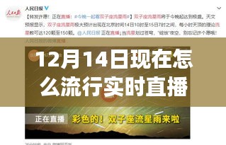 跃入直播时代，见证实时直播的力量如何点燃希望与自信之火——12月14日的直播热潮解析