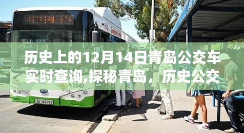 探秘青岛公交历史轨迹，美食宝藏藏于历史公交实时查询背后的秘密（12月14日特辑）