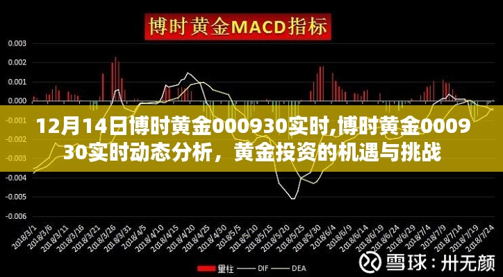 博时黄金实时动态分析，机遇与挑战并存的投资黄金之路