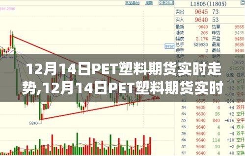 12月14日PET塑料期货实时走势分析，多元观点与个人立场探讨