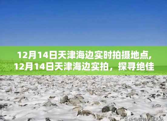 揭秘天津海边最佳拍摄地点，12月14日实拍指南