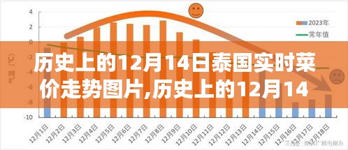 笨鸟先飞 第3页