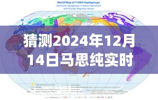 揭秘马思纯2024年12月14日实时地图高清图片及其背后故事与细节
