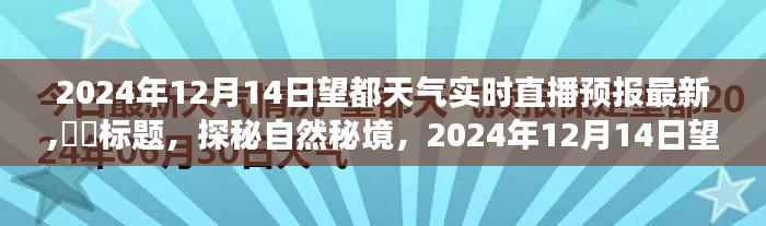 探秘自然秘境，望都天气预报及心灵之旅直播纪实（2024年12月14日）