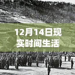 12月14日现实生活中的不公平现象，揭示背后的原因与影响