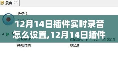 12月14日插件实时录音设置详解，最佳实践与观点探讨