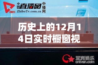 小红书独家揭秘，历史上的12月14日实时橱窗视频观看指南