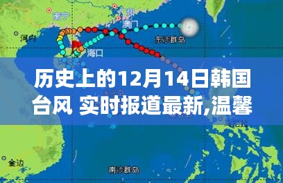 韩国台风来袭，暖心故事与特殊记忆回顾，实时报道最新进展