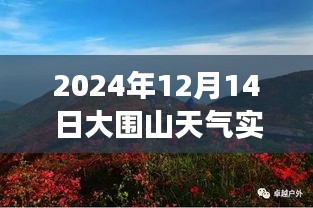 大围山脚下的励志风云，知识拥抱变化，天气预报实时更新