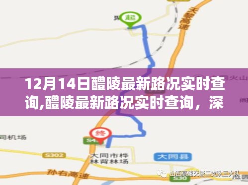 12月14日醴陵最新路况实时查询深度解析与多方观点探讨