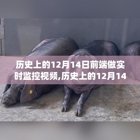 前端实时监控视频技术，历史发展、优劣分析与未来展望（12月14日前端技术回顾）
