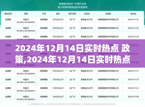 聚焦观点分析，2024年热点政策与个人立场论述