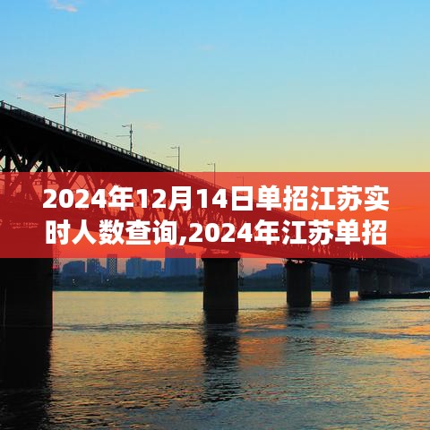 2024年江苏单招实时人数查询指南，12月14日最新数据