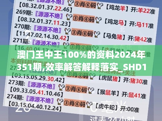 澳门王中王100%的资料2024年351期,效率解答解释落实_SHD10.250