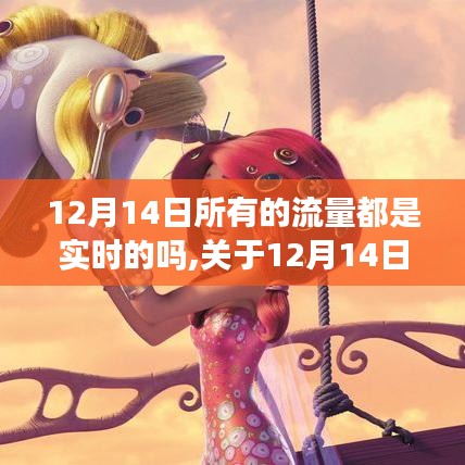 关于12月14日流量实时性的全面评测与介绍，流量实时性探讨