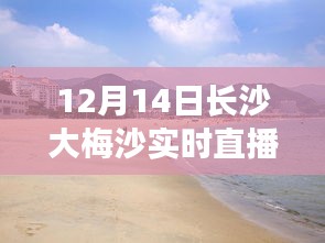 长沙大梅沙之夜，变化中的学习，交响乐章中的自信与成就感实时直播