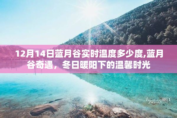蓝月谷奇遇，冬日暖阳下的温馨时光与实时温度揭秘
