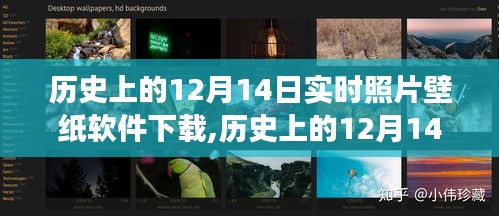 历史上的12月14日实时照片壁纸软件下载，发展与影响分析