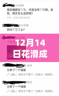 12月14日花样滑冰成绩实时指南，技巧掌握，轻松追踪