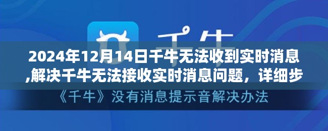 初学者与进阶用户适用指南