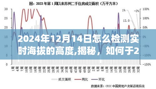 揭秘，如何精准检测实时海拔高度，掌握实时海拔监测技巧，2024年12月14日指南