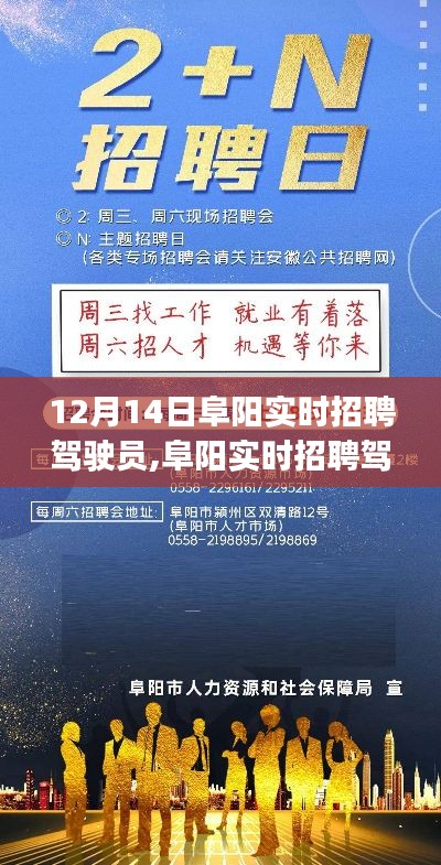 阜阳驾驶员实时招聘指南，一站式解决初学者与进阶用户的求职需求（12月14日）
