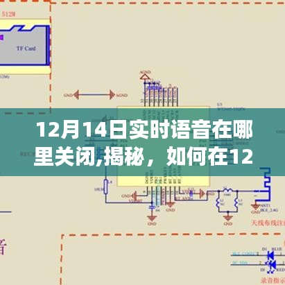 揭秘，如何关闭在特定日期（如12月14日）的实时语音功能指南