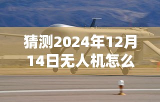 实操指南
