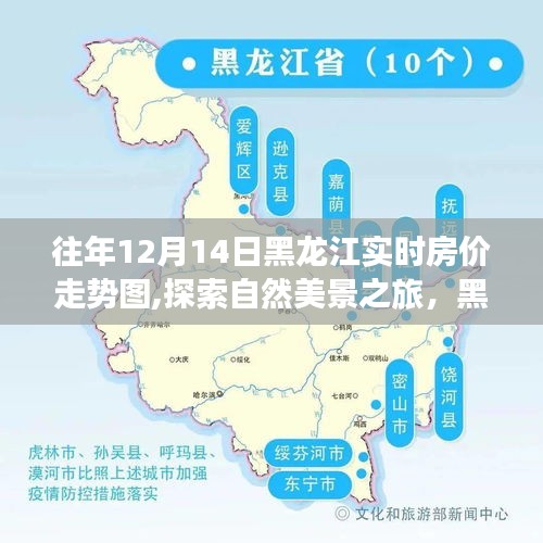 黑龙江房价走势与自然美景探索，房价与心灵宁静的交汇点（实时房价走势图）