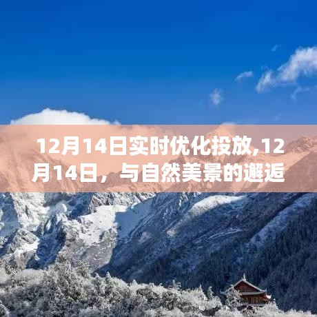 寻找内心平静之旅