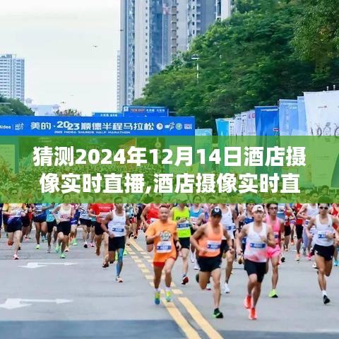 虎背熊腰 第3页