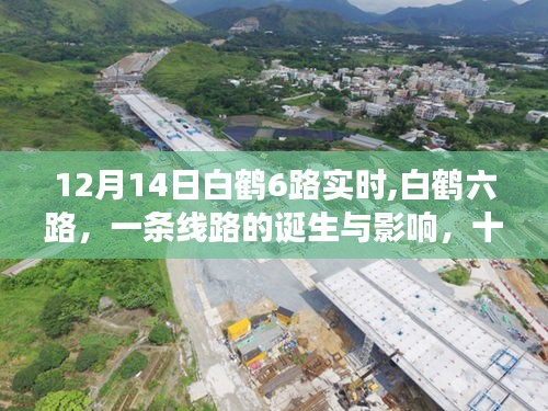 十二月十四日白鹤六路，线路的诞生、影响与实时观察