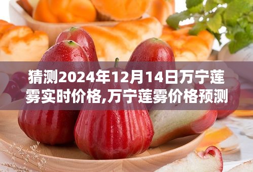 探寻未来走势，万宁莲雾价格预测与影响分析，预测2024年12月14日实时价格