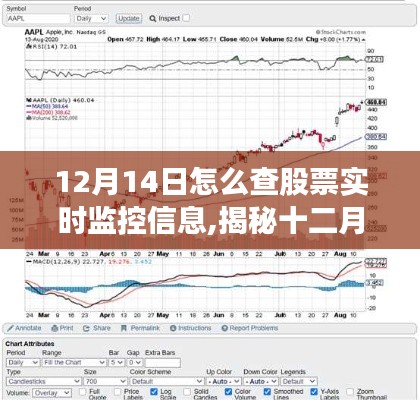 揭秘股市行情，如何轻松获取股票实时监控信息（十二月十四日指南）