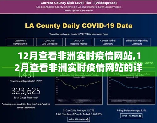 12月非洲实时疫情网站查看指南，步骤详解