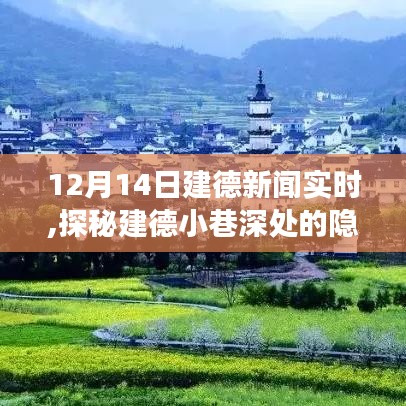 探秘建德小巷深处的隐藏瑰宝，建德新闻实时报道与一家特色小店的惊喜之旅
