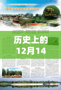 历史上的12月14日鄢陵许昌实时路况深度解析，特性、体验与目标用户分析报告