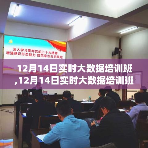 深度探讨，大数据培训班的价值与影响力——12月14日实时解析