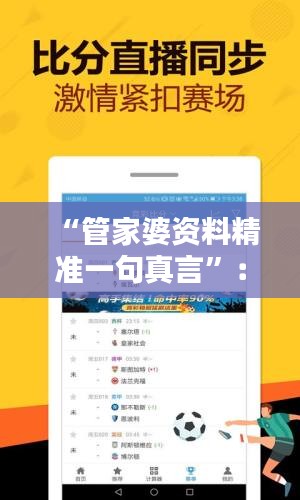“管家婆资料精准一句真言”：细数数据资产的黄金法则