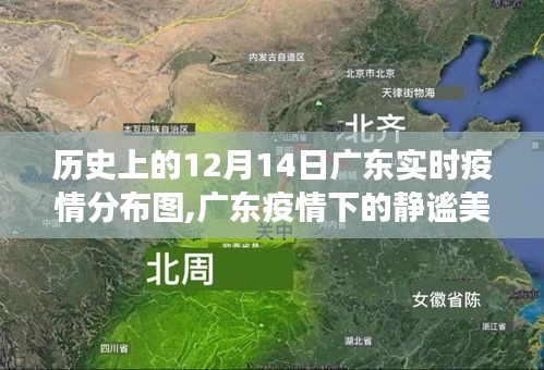 广东疫情下的静谧美景，历史疫情分布图与自然的共舞旅程