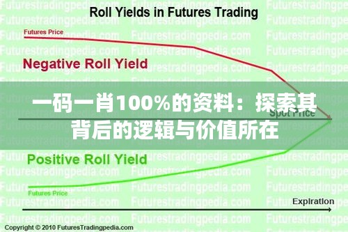 一码一肖100%的资料：探索其背后的逻辑与价值所在