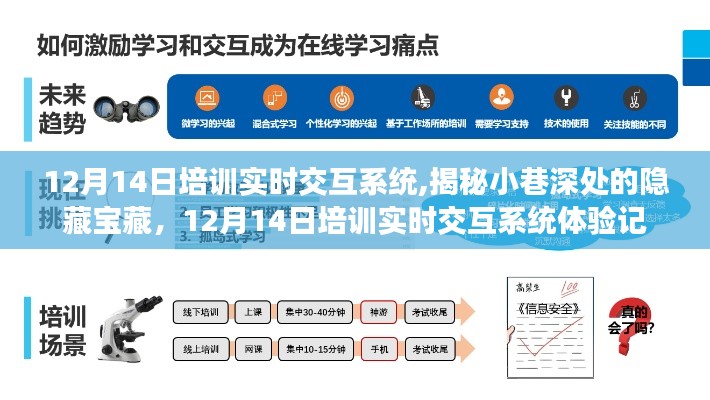 揭秘小巷深处的隐藏宝藏，实时交互系统体验记