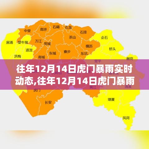 往年12月14日虎门暴雨事件实时动态及分析