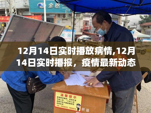 12月14日疫情实时播报，最新动态、防控进展及病情实时播放