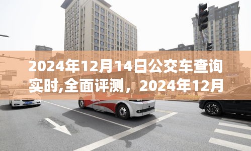 2024年12月14日公交车实时查询系统详解，特性、体验、竞品对比及用户分析