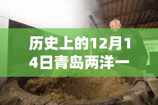 探秘青岛，十二月十四日两洋一海风情与小巷特色小店实时动态